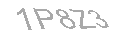 Güvenlik Kodu