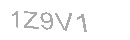 Güvenlik Kodu