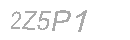 Güvenlik Kodu