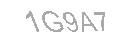 Güvenlik Kodu
