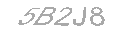 Güvenlik Kodu