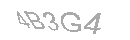 Güvenlik Kodu