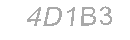 Güvenlik Kodu
